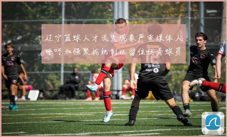 辽宁篮球人才流失现象严重媒体人呼吁加强聚拢机制以留住优秀球员