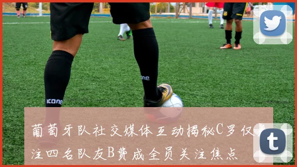 葡萄牙队社交媒体互动揭秘C罗仅关注四名队友B费成全员关注焦点